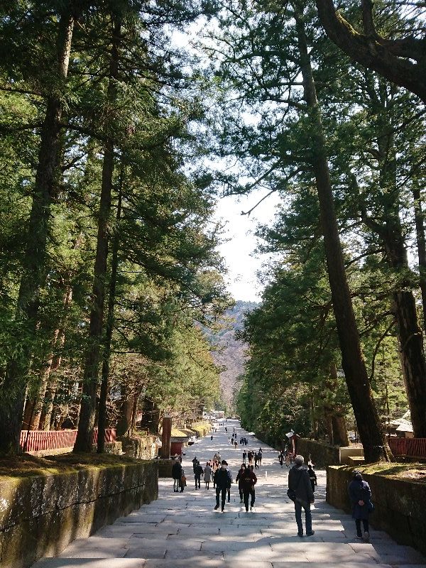 日光東照宮　参道