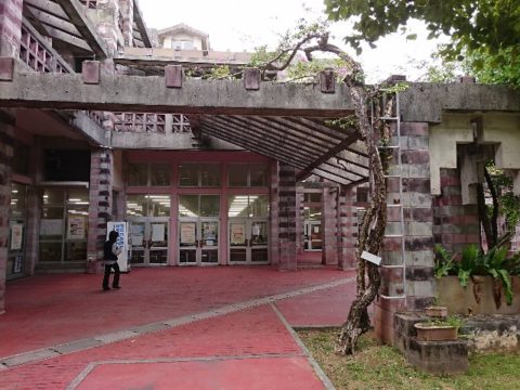 名護市役所　一階　蔦